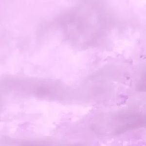 Meet your Posher, Ava